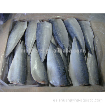 Exportación china Frozen Pacific Mackerel Filets para al por mayor
